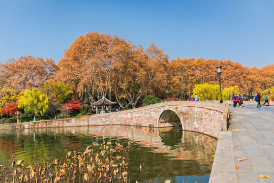 杭州西湖孤山公园西泠桥秋景