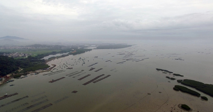 广东阳西程村