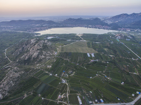 航拍青岛平度大泽山葡萄园风光