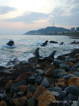 美丽的清水湾海岸