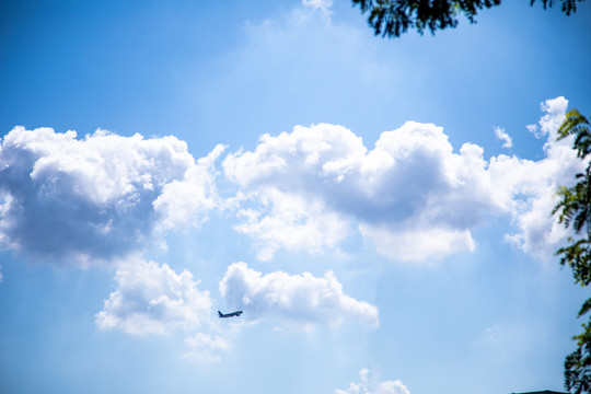 蓝天白云飞机起飞