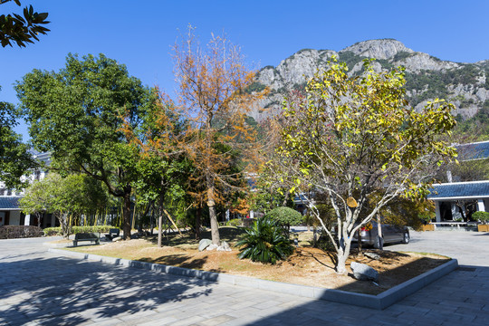 雁蕩山博物館