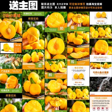 碭山黃桃