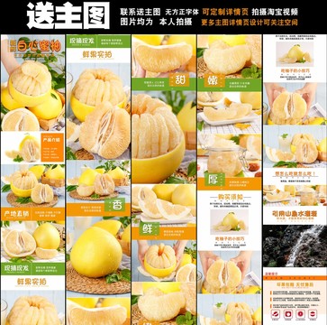 白心柚