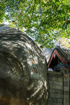 崂山太清宫