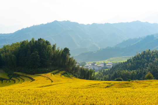 中国十大最美梯清远连山欧家梯田