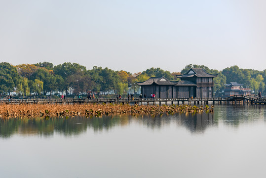 杭州西湖曲院风荷秋景