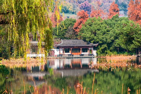 杭州西湖曲院风荷秋景