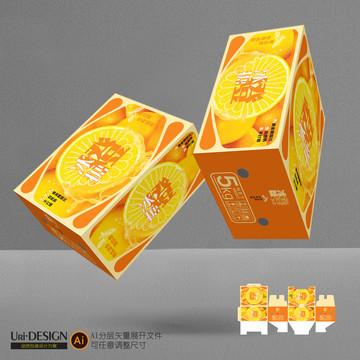 橙子包裝設(shè)計(jì)展開圖