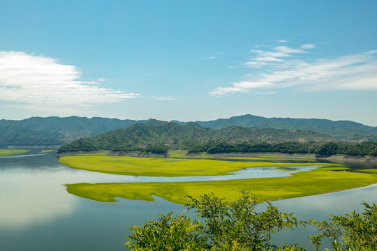 草原湿地