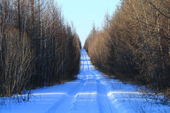 林海雪原崎岖山路