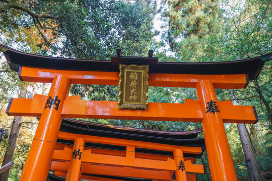 日本京都伏见稻荷大社千本鸟居