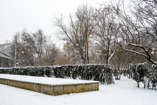 雪景