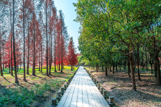 休闲步道