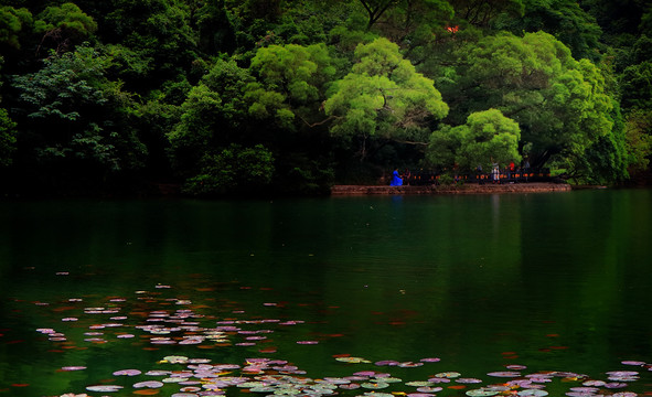 园林湖景