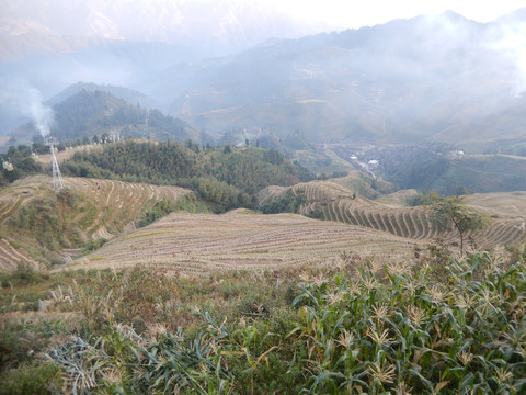 龙脊小景