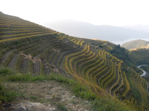 龙脊小景