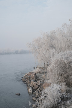 冬季雪景