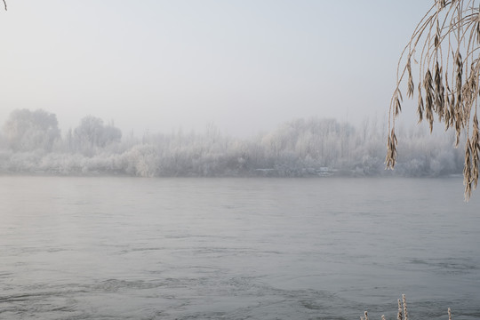 冬季雪景