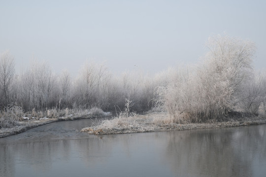伊犁河国家湿地公园