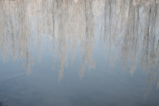 冬季雪景