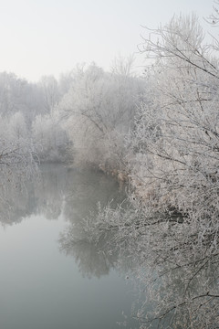 雪景