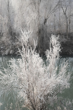 雪景