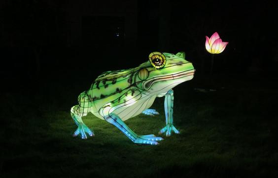 青蛙造型节日灯会草坪花灯