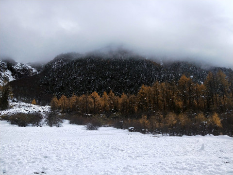 雪地