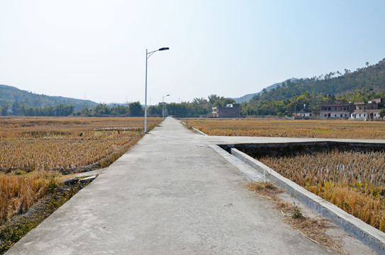 鄉村道路