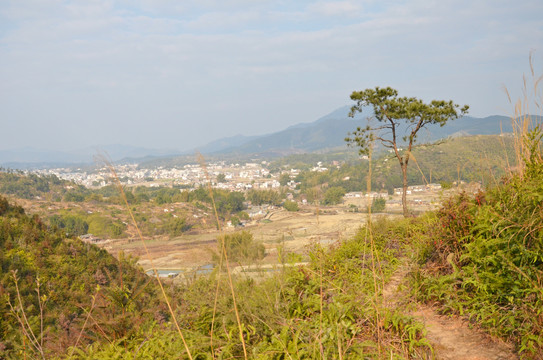 山路