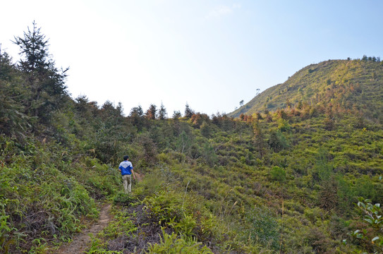 山路