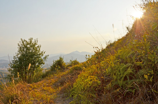 登山