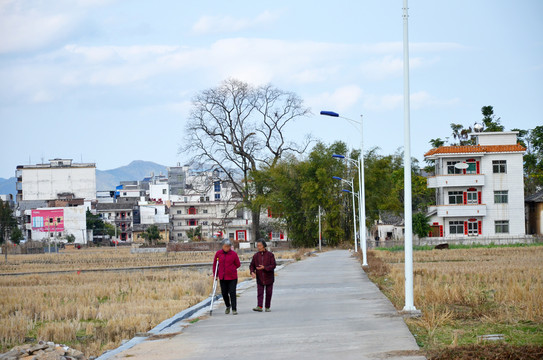 乡村道路