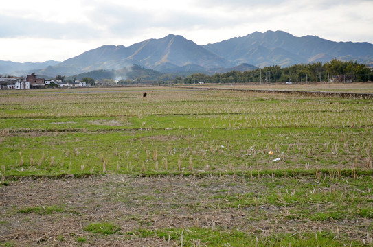 田园风光