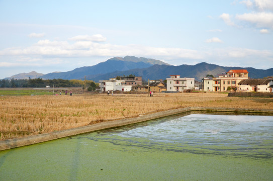 农村房屋