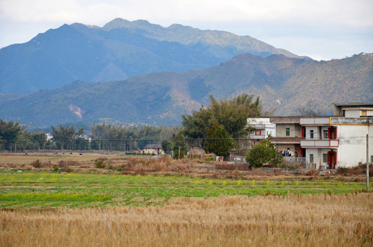 山区农村