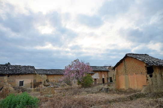 乡土重建