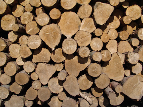木头堆