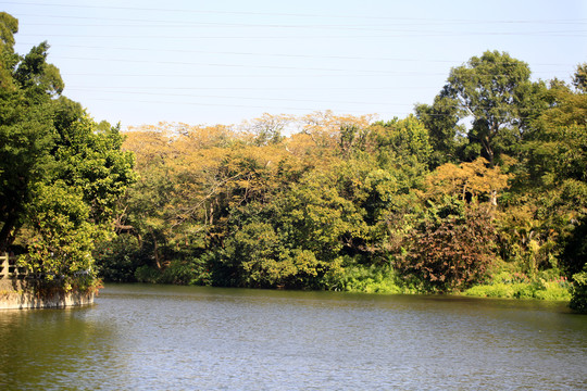 深圳东湖水库