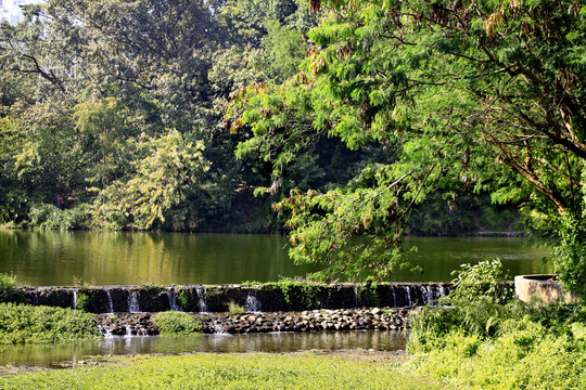 深圳东湖水库