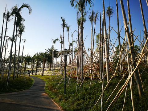 深圳西湾红树林公园