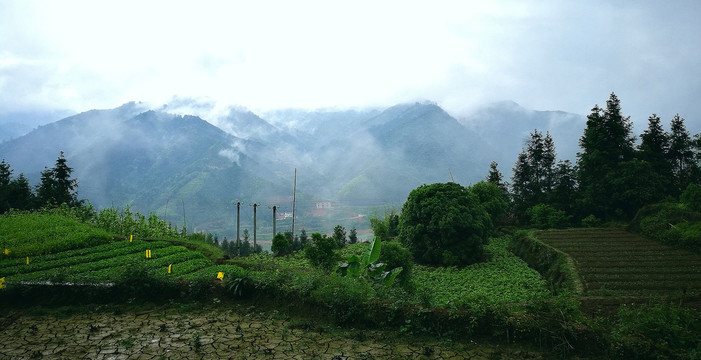 大瑶山风光