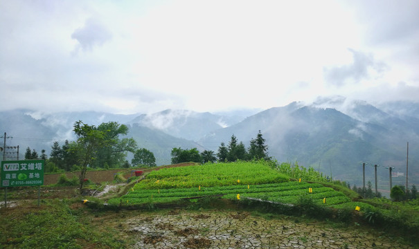 大瑶山风光