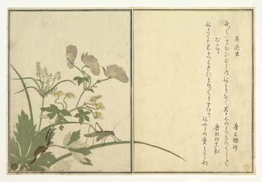 喜多川歌麿螞蚱和千足蟲(chóng)