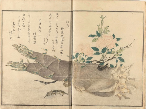 喜多川歌麿竹筍和花