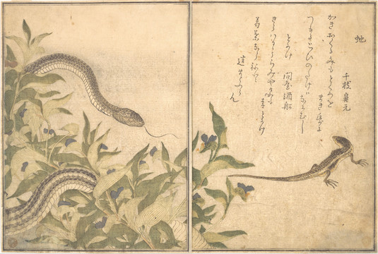 喜多川歌麿蛇和蜥蜴