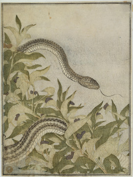 喜多川歌麿蛇和蜥蜴