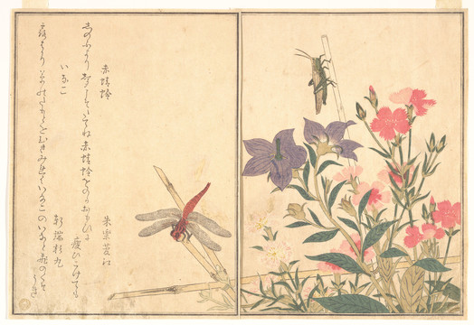 喜多川歌麿紅蜻蜓和蝗蟲
