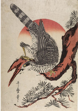 喜多川歌麿松枝上的獵鷹